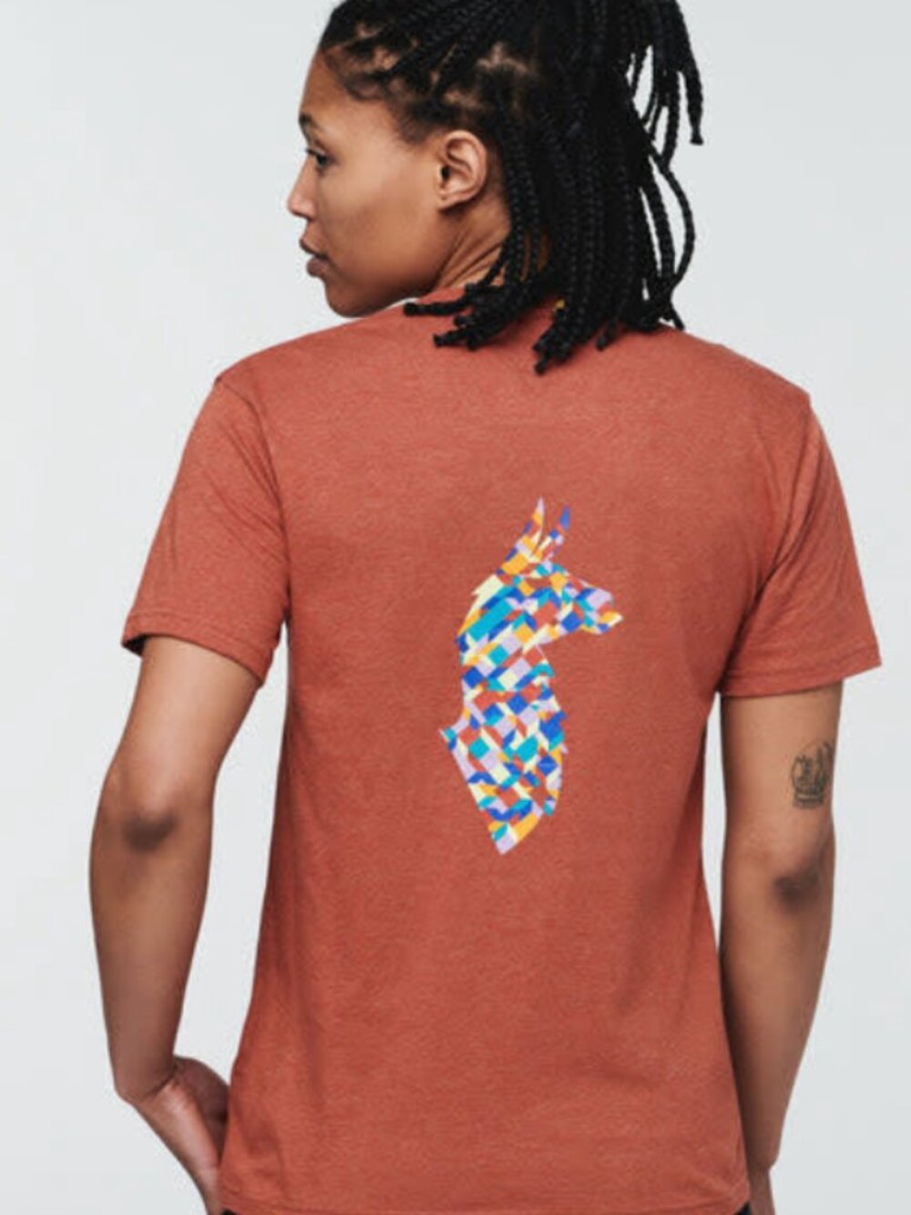 Cotopaxi “Do Good” Organic Blend Llama Graphic Tee – Terracotta - Medium